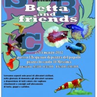 Betta and Friends