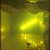 Saddy00013