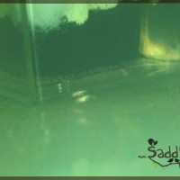 Saddy00034